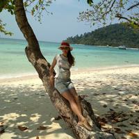 Отзыв от Елена - Visa DTV